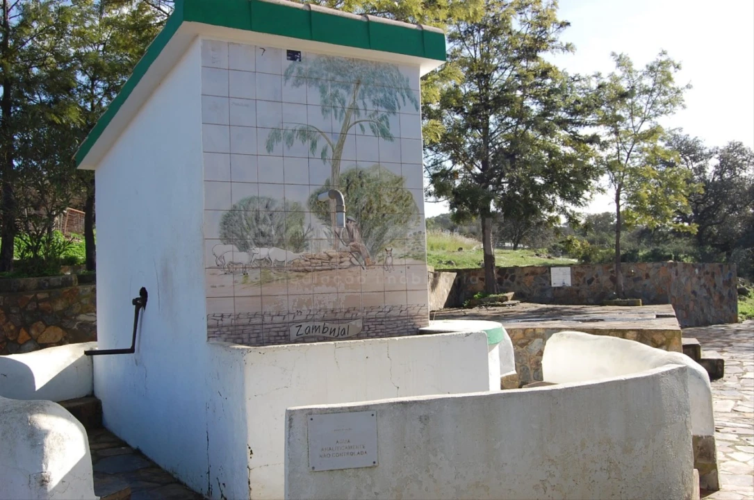 Terreno Agricola ou Rústico para Venda em Vaqueiros Foto 9