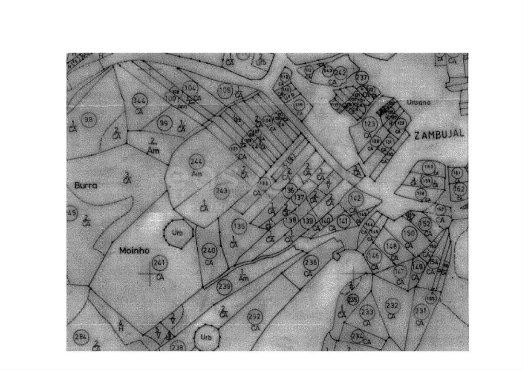 Terreno Agricola ou Rústico para Venda em Vaqueiros Foto 12