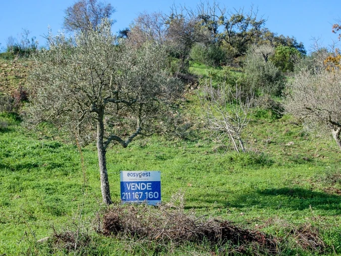 Terreno Agricola ou Rústico para Venda em Vaqueiros Foto 1