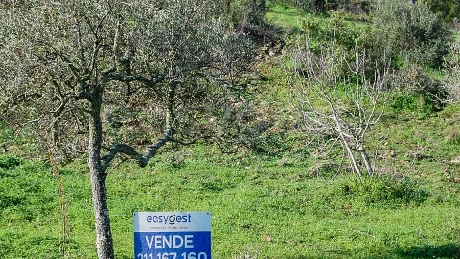 Terreno Agricola ou Rústico para Venda em Vaqueiros