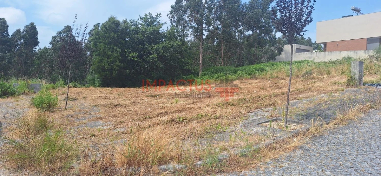 Terreno para Venda em Coronado (São Romão e São Mamede) Foto 3