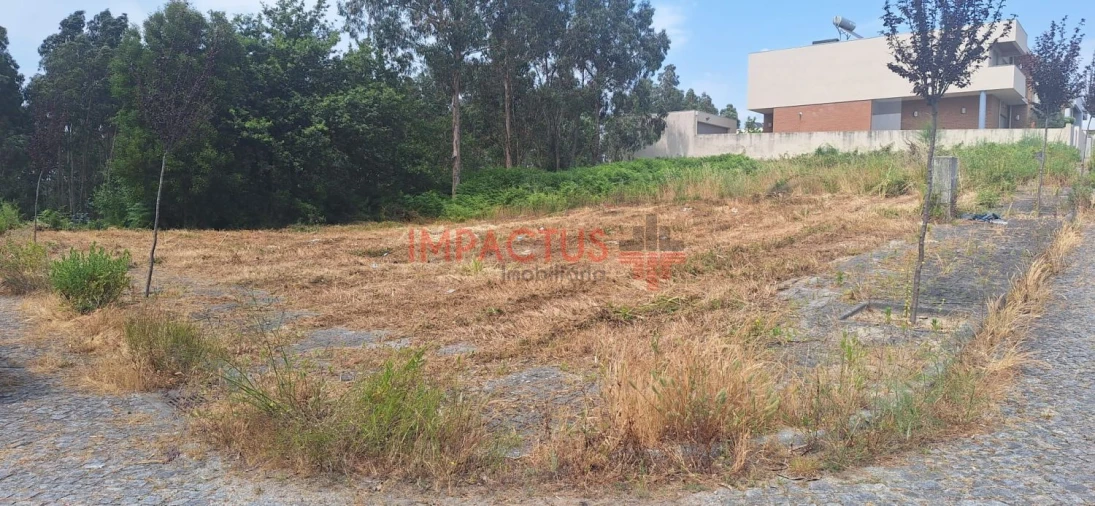 Terreno para Venda em Coronado (São Romão e São Mamede) Foto 2