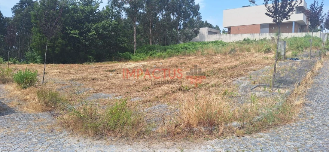 Terreno para Venda em Coronado (São Romão e São Mamede) Foto 4