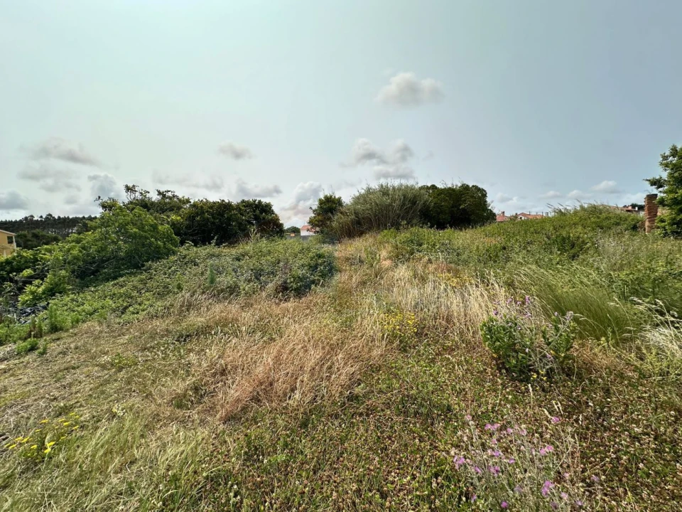 Terreno para Venda em Serra D'El-Rei Foto 12