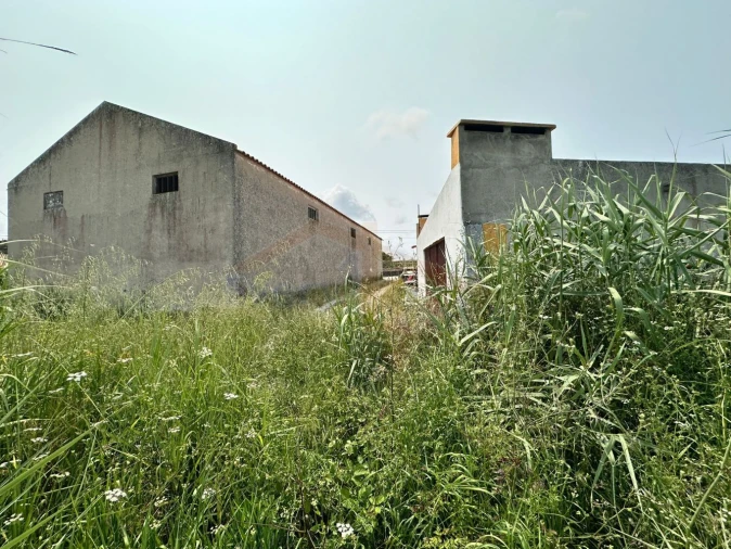 Terreno para Venda em Olho Marinho Foto 19