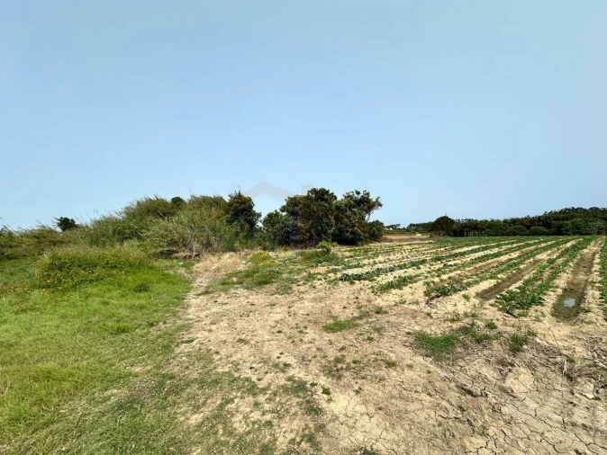 Terreno para Venda em Olho Marinho Foto 6