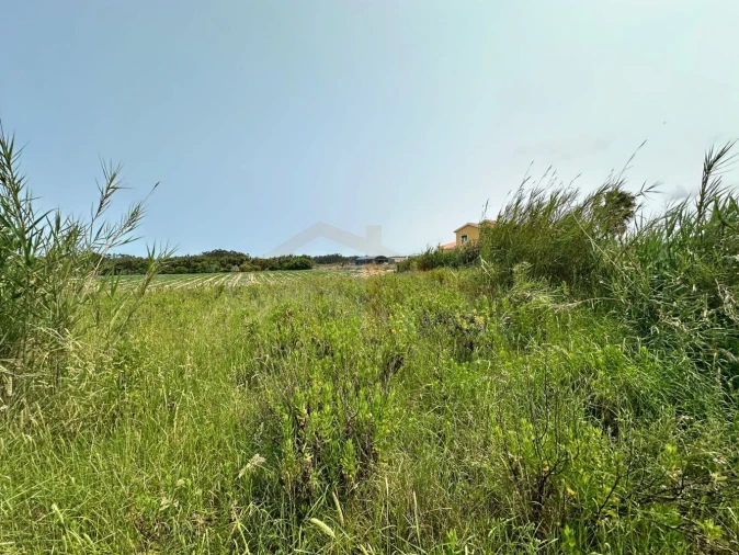 Terreno para Venda em Olho Marinho Foto 7