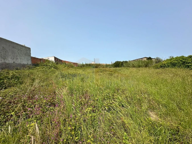 Terreno para Venda em Olho Marinho Foto 23