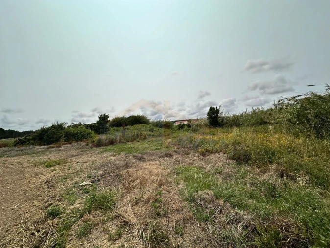 Terreno para Venda em Olho Marinho Foto 16