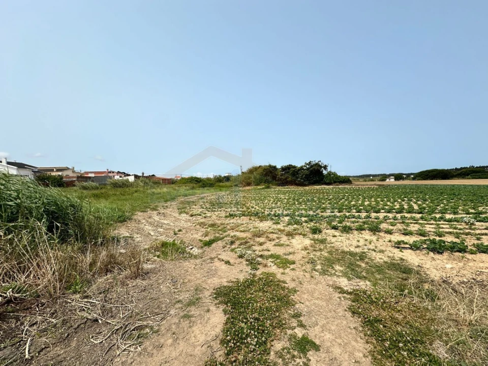 Terreno para Venda em Serra D'El-Rei Foto 26