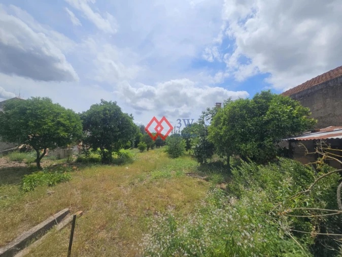 Moradia T3 para Venda em Riachos Foto 3