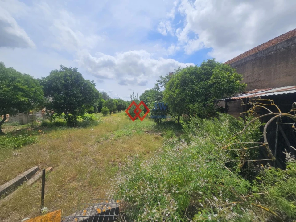 Moradia T3 para Venda em Riachos Foto 4