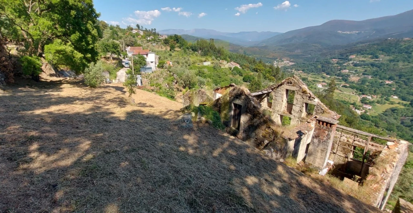Quinta para Venda em Santa Ovaia e Vila Pouca da Beira Foto 6