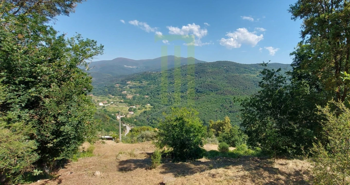 Quinta para Venda em Santa Ovaia e Vila Pouca da Beira Foto 7