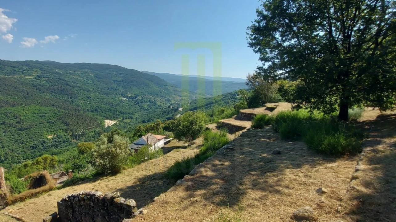 Quinta para Venda em Santa Ovaia e Vila Pouca da Beira Foto 8