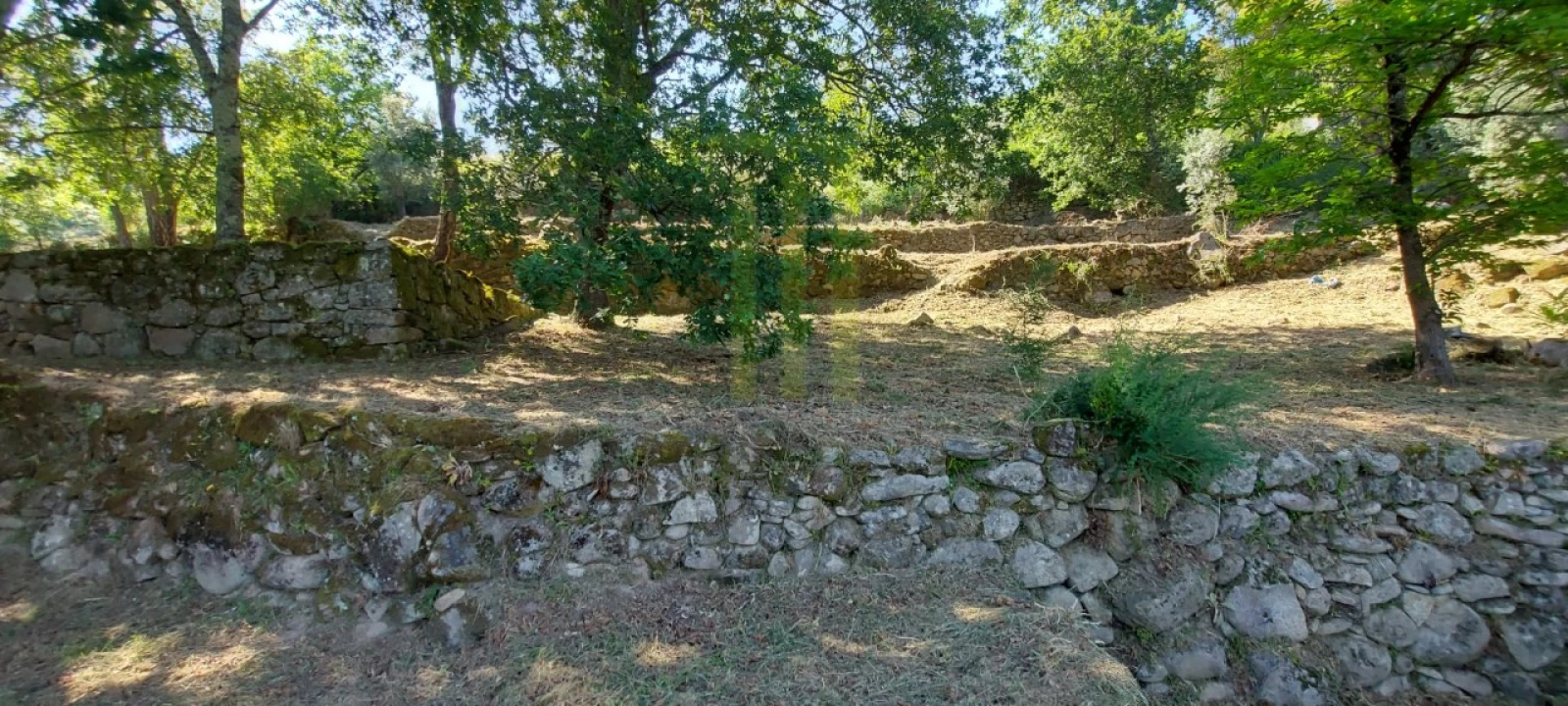 Quinta para Venda em Santa Ovaia e Vila Pouca da Beira Foto 13