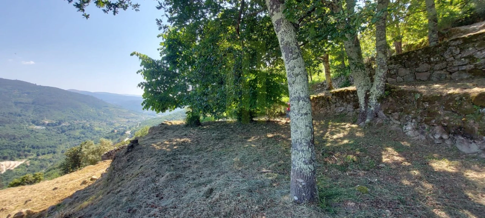 Quinta para Venda em Santa Ovaia e Vila Pouca da Beira Foto 15