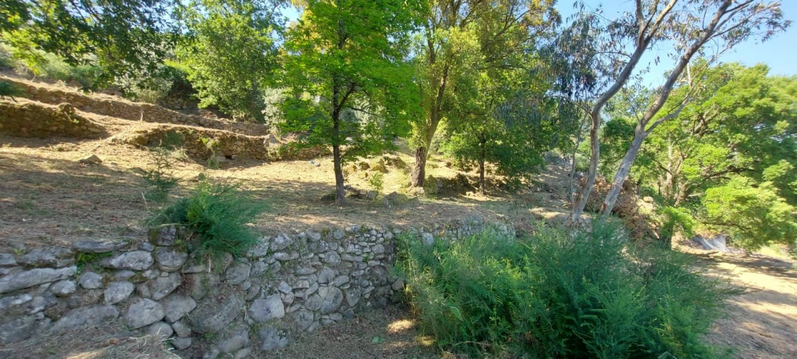 Quinta para Venda em Santa Ovaia e Vila Pouca da Beira Foto 16