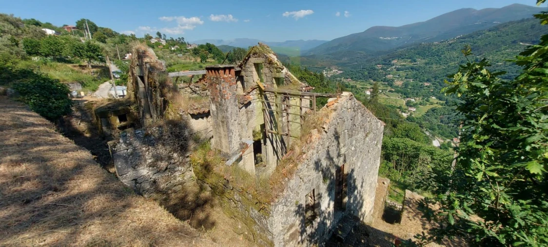 Quinta para Venda em Santa Ovaia e Vila Pouca da Beira Foto 3