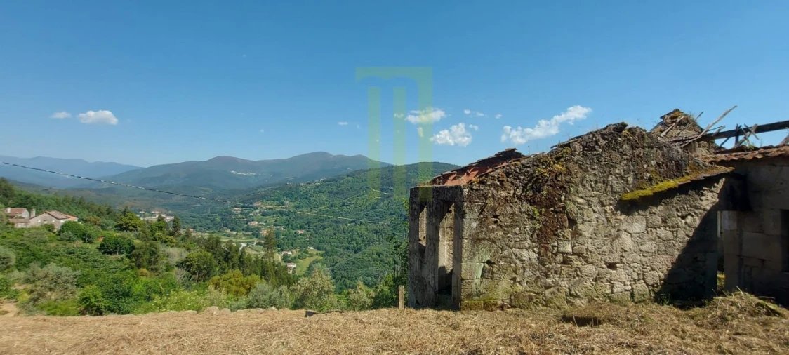 Quinta para Venda em Santa Ovaia e Vila Pouca da Beira Foto 5