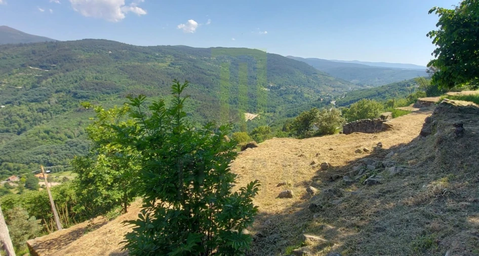 Quinta para Venda em Santa Ovaia e Vila Pouca da Beira Foto 9