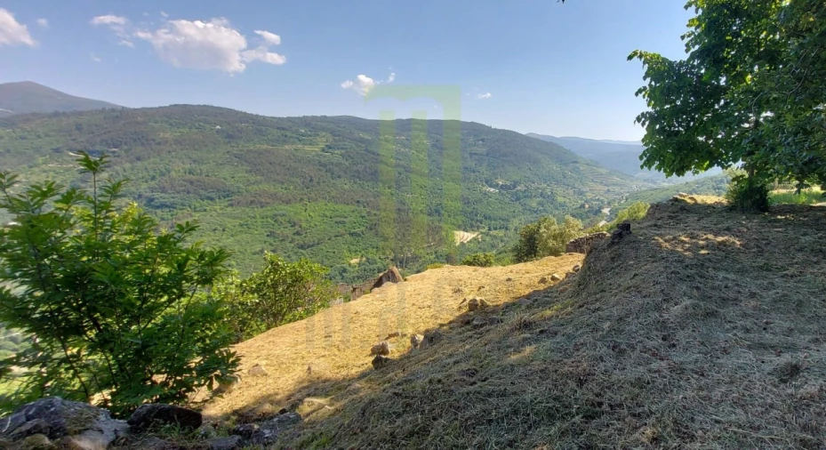 Quinta para Venda em Santa Ovaia e Vila Pouca da Beira Foto 10