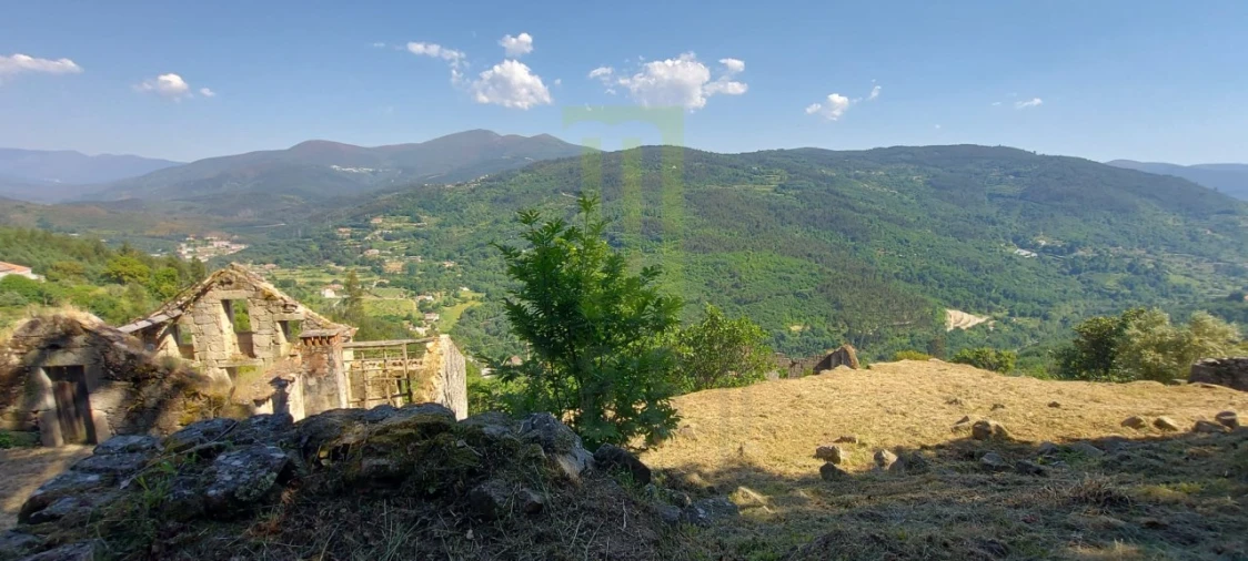 Quinta para Venda em Santa Ovaia e Vila Pouca da Beira Foto 11