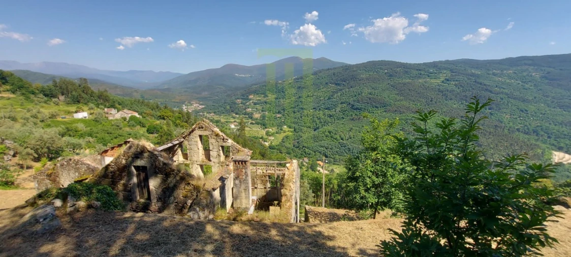 Quinta para Venda em Santa Ovaia e Vila Pouca da Beira Foto 12