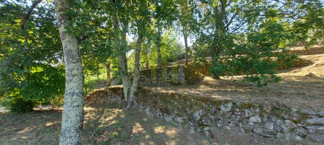 Quinta para Venda em Santa Ovaia e Vila Pouca da Beira Foto 14