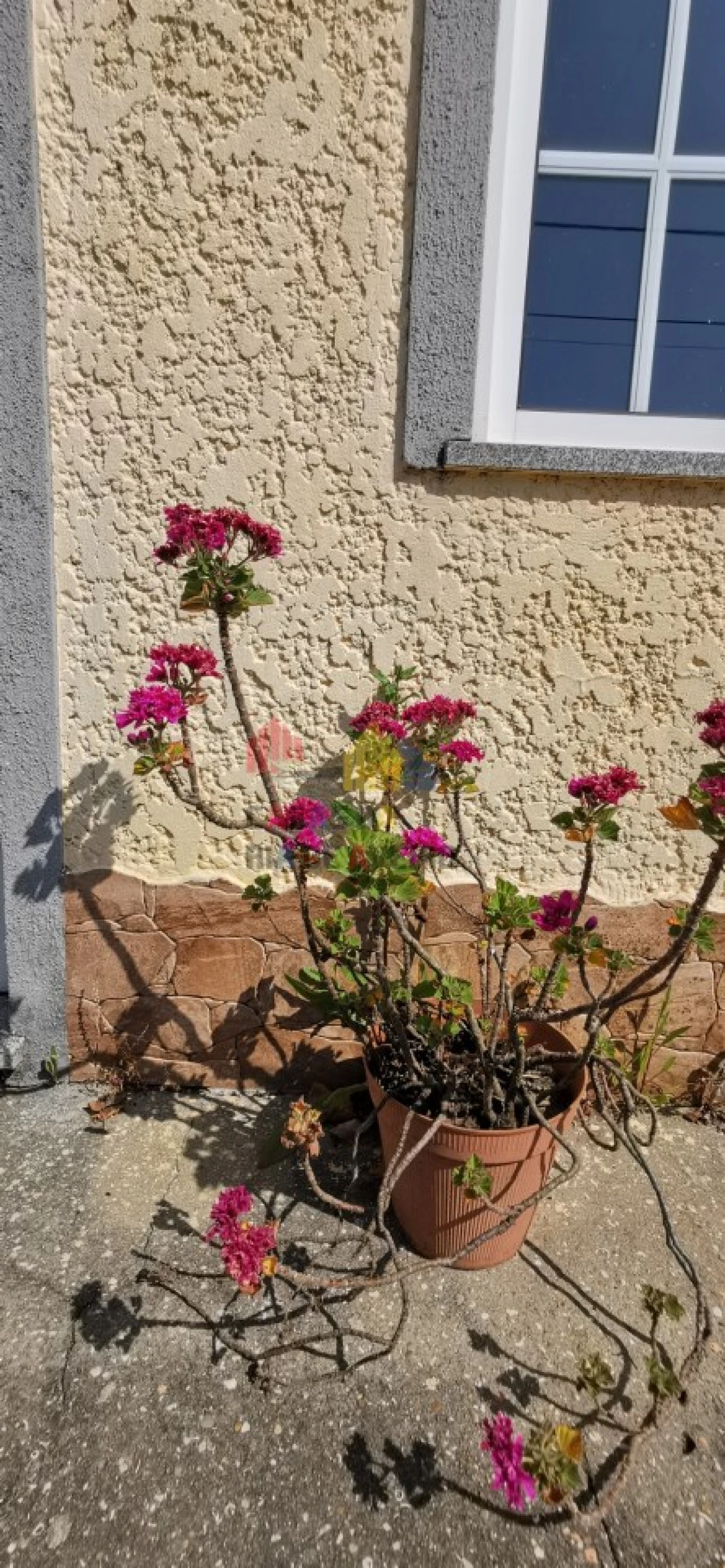 Moradia T3 para Venda em Murtosa Foto 11