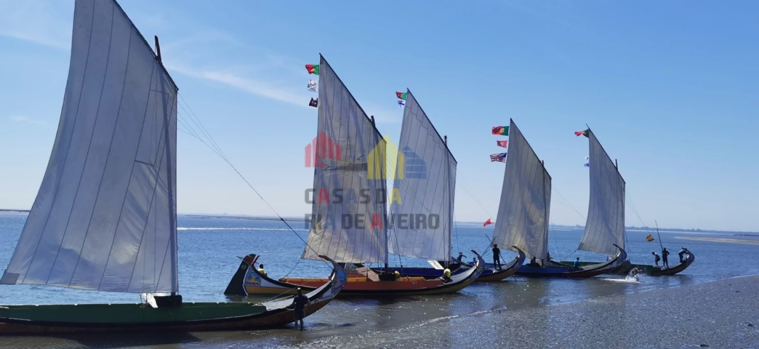 Moradia T3 para Venda em Murtosa Foto 21