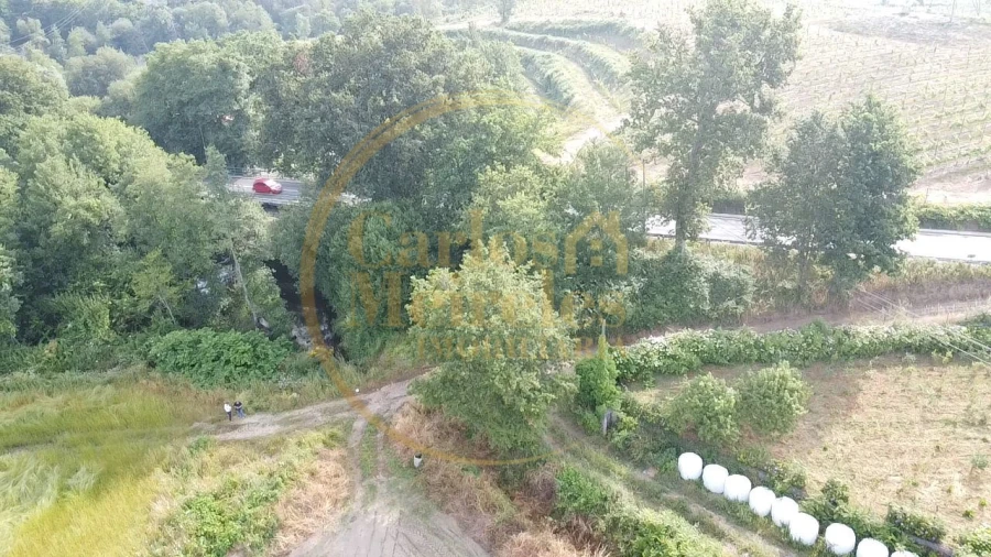 Terreno Agricola ou Rústico para Venda em Marrancos e Arcozelo