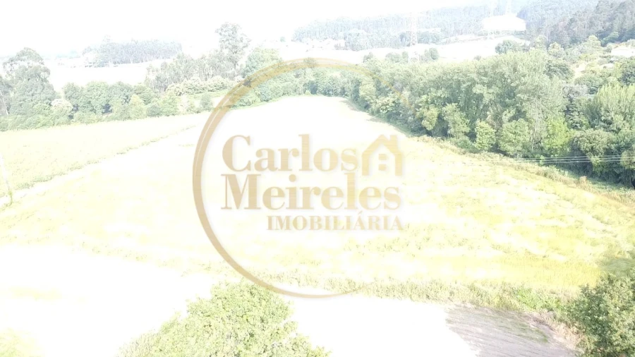 Terreno Agricola ou Rústico para Venda em Marrancos e Arcozelo Foto 5