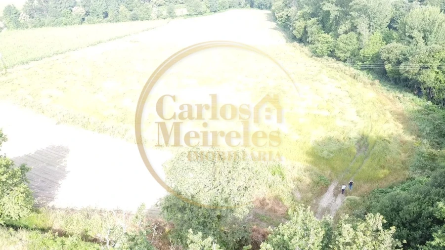 Terreno Agricola ou Rústico para Venda em Marrancos e Arcozelo Foto 6