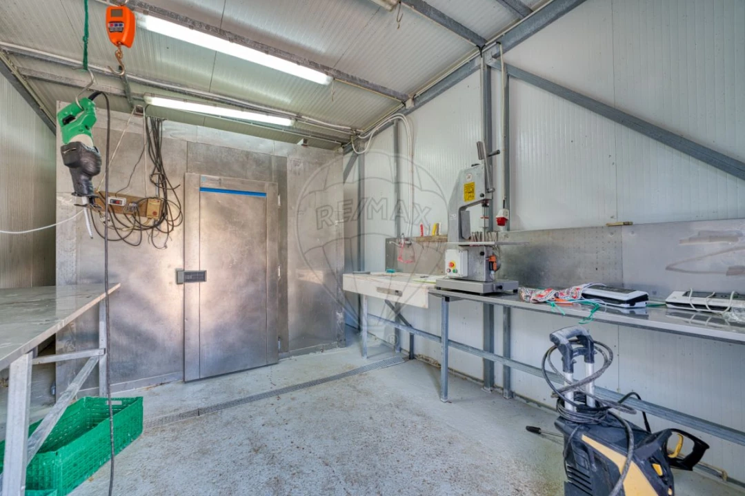 Terreno para Venda em Marinhais Foto 14