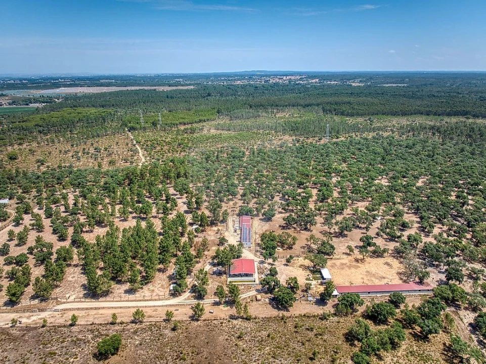 Terreno para Venda em Marinhais Foto 1