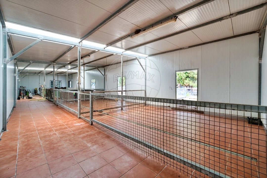 Terreno para Venda em Marinhais Foto 17