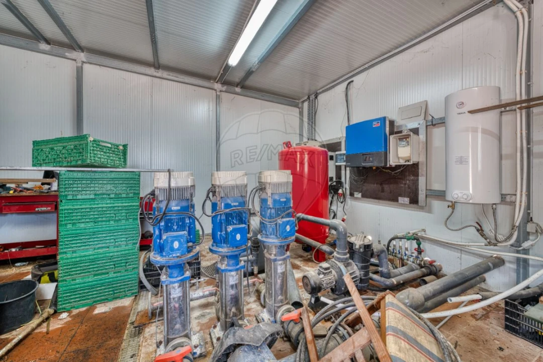 Terreno para Venda em Marinhais Foto 10