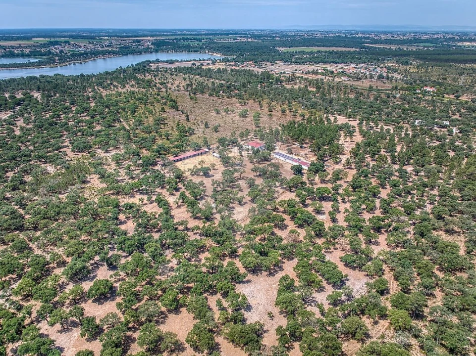 Terreno para Venda em Marinhais Foto 3
