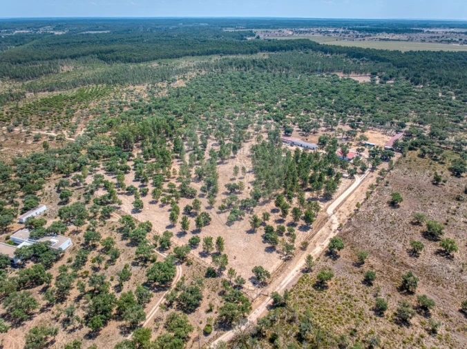 Terreno para Venda em Marinhais Foto 2