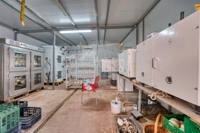 Terreno para Venda em Marinhais Foto 20