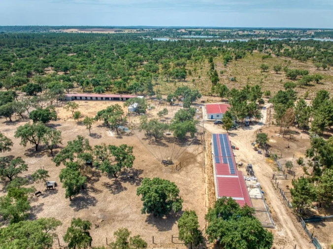 Terreno para Venda em Marinhais Foto 7