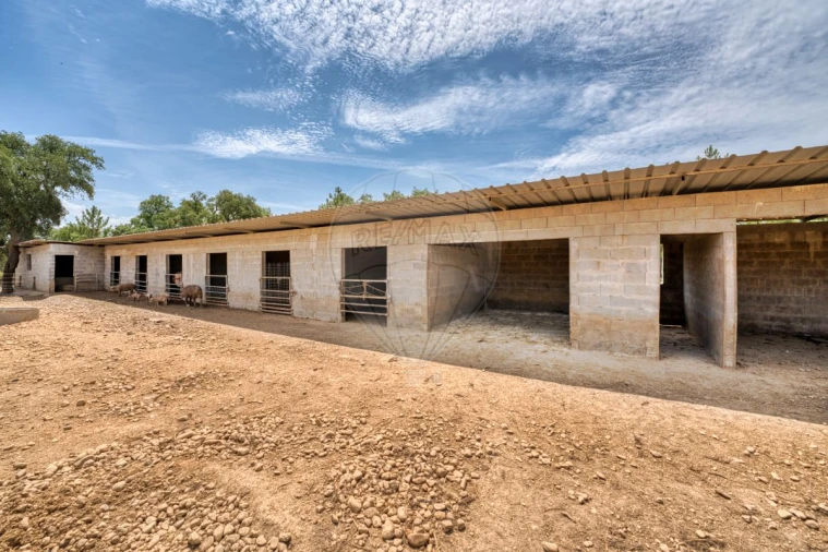 Terreno para Venda em Marinhais Foto 30