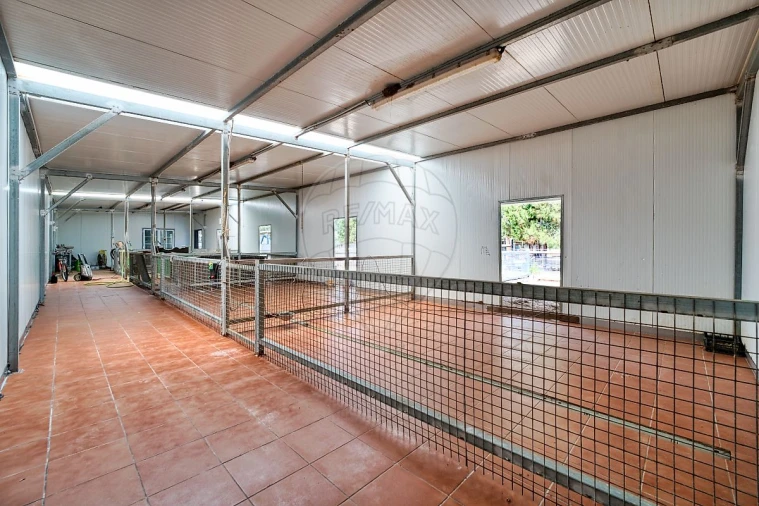 Terreno para Venda em Marinhais Foto 19