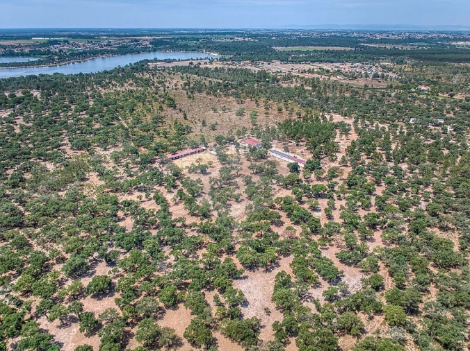 Terreno para Venda em Marinhais Foto 5