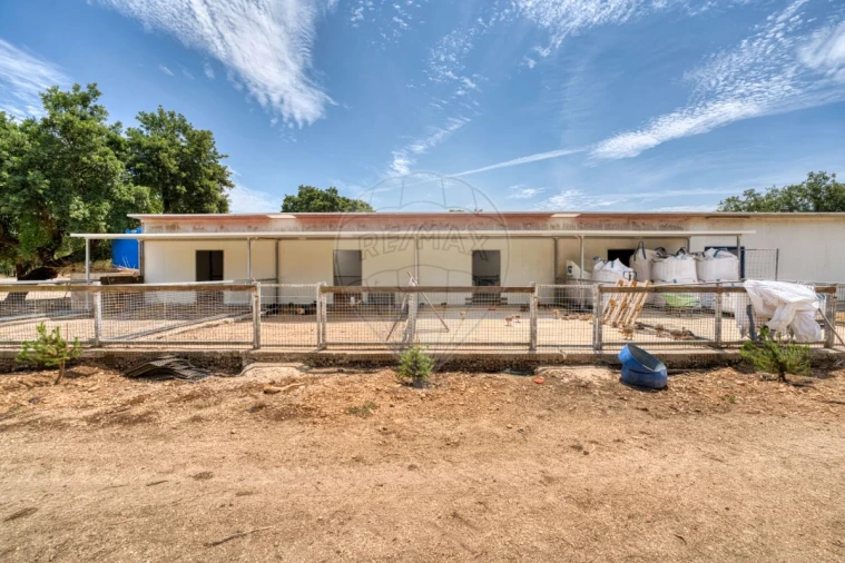 Terreno para Venda em Marinhais Foto 27