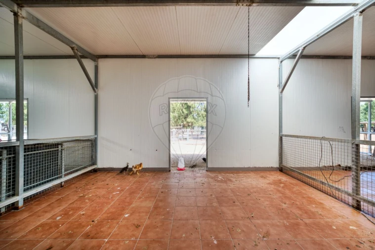 Terreno para Venda em Marinhais Foto 18