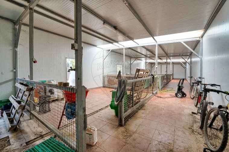 Terreno para Venda em Marinhais Foto 17