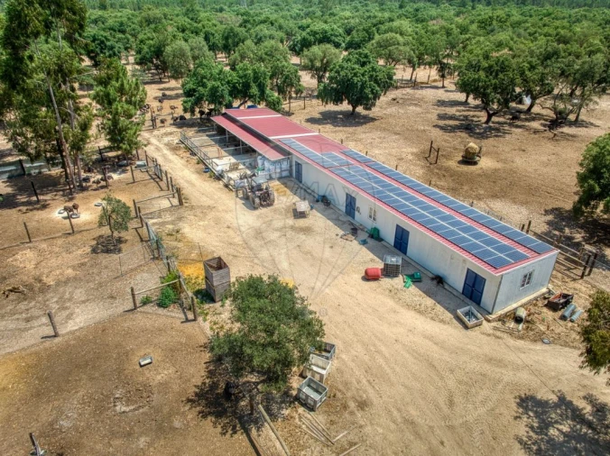 Terreno para Venda em Marinhais Foto 11