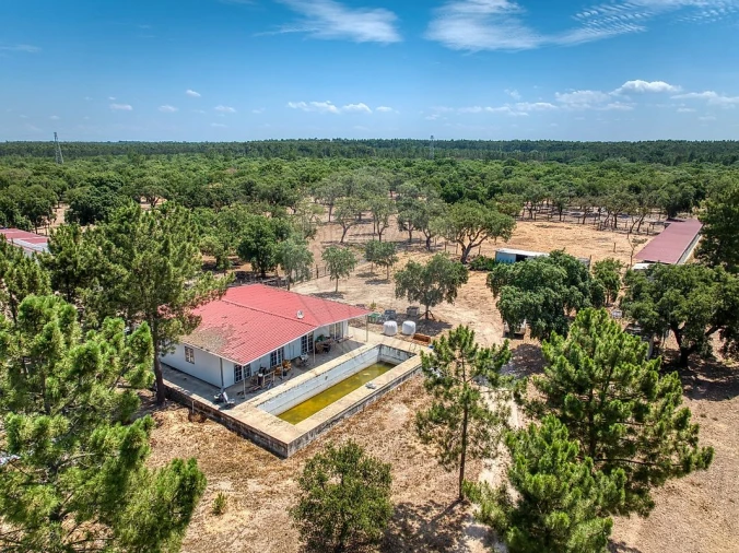 Terreno para Venda em Marinhais Foto 10